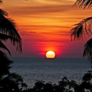 Trade for @anasengabj